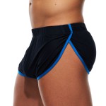 Boxer Physical